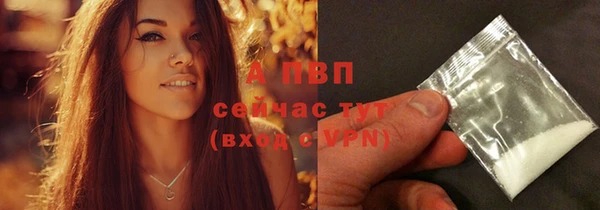 гидропоника Белокуриха
