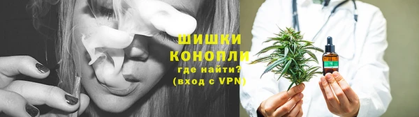гидропоника Белокуриха