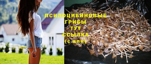 гидропоника Белокуриха