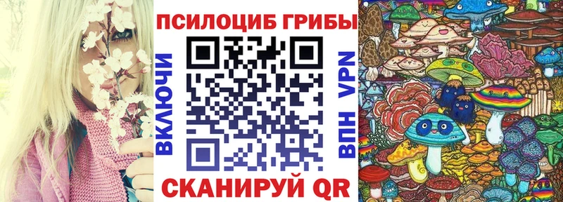хочу наркоту  кракен зеркало  Псилоцибиновые грибы мицелий  Барыш 