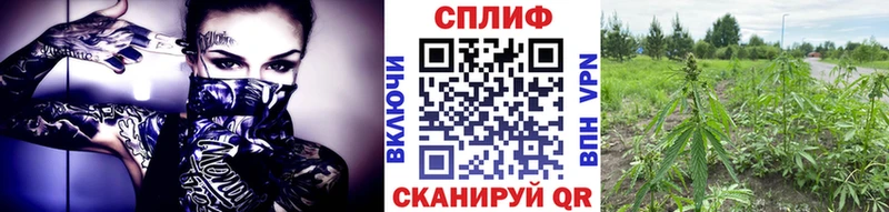 Бошки Шишки VHQ  наркошоп  Барыш 